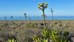 Mexiko & Baja Kalifornien<br><br>