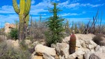 Mexiko & Baja Kalifornien<br><br>