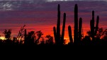 Mexiko & Baja Kalifornien<br><br>