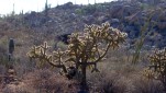 Mexiko & Baja Kalifornien<br><br>