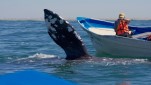 Mexiko & Baja Kalifornien<br><br>