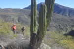 Mexiko & Baja Kalifornien<br><br>