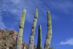 Mexiko & Baja Kalifornien<br><br>