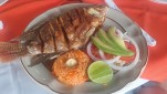 Mexiko - Chiapas und Yucatán<br><br>