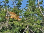 Mexiko - Chiapas und Yucatán<br><br>