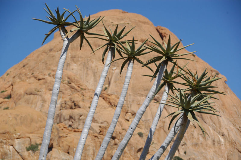 Spitzkoppe2