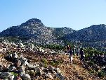 Jemen<br>Insel Sokotra<br>