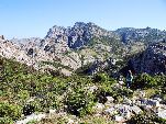 Jemen<br>Insel Sokotra<br>