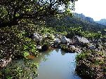 Jemen<br>Insel Sokotra<br>