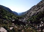 Jemen<br>Insel Sokotra<br>