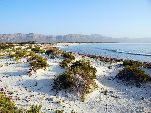 Jemen<br>Insel Sokotra<br>