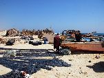 Jemen<br>Insel Sokotra<br>