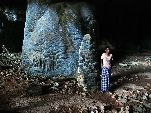 Jemen<br>Insel Sokotra<br>