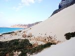 Jemen<br>Insel Sokotra<br>