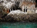 Jemen<br>Insel Sokotra<br>