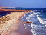 Jemen<br>Insel Sokotra<br>