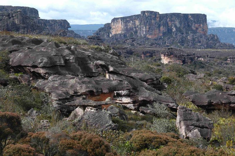 AuyanTepui