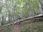 Nord-West-Slowakei, Mala-Fatra,