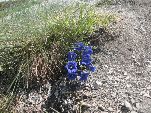 Nord-West-Slowakei, Mala-Fatra,