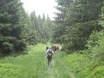 Nord-West-Slowakei, Mala-Fatra,