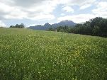 Nord-West-Slowakei, Mala-Fatra,