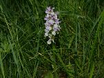 Nord-West-Slowakei, Mala-Fatra,