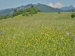 Nord-West-Slowakei, Mala-Fatra,