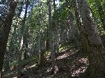 Nord-West-Slowakei, Mala-Fatra,