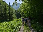 Nord-West-Slowakei, Mala-Fatra,