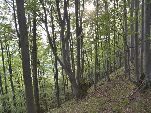 Nord-West-Slowakei, Mala-Fatra,