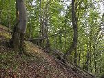 Nord-West-Slowakei, Mala-Fatra,