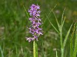 Nord-West-Slowakei, Mala-Fatra,