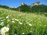 Nord-West-Slowakei, Mala-Fatra,