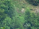 Nord-West-Slowakei, Mala-Fatra,