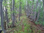 Nord-West-Slowakei, Mala-Fatra,