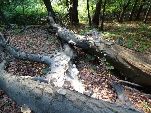 Nord-West-Slowakei, Mala-Fatra,