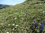 Nord-West-Slowakei, Mala-Fatra,