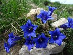 Nord-West-Slowakei, Mala-Fatra,