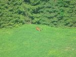 Nord-West-Slowakei, Mala-Fatra,
