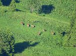 Nord-West-Slowakei, Mala-Fatra,