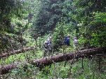 Nord-West-Slowakei, Mala-Fatra,