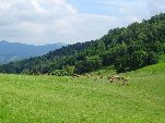 Nord-West-Slowakei, Mala-Fatra,