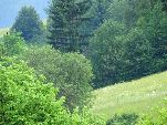 Nord-West-Slowakei, Mala-Fatra,